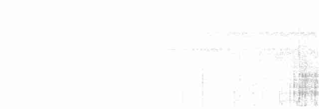 Toucan à bec rouge (tucanus) - ML203954231