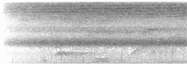 holub kovový [skupina aenea] - ML203955301