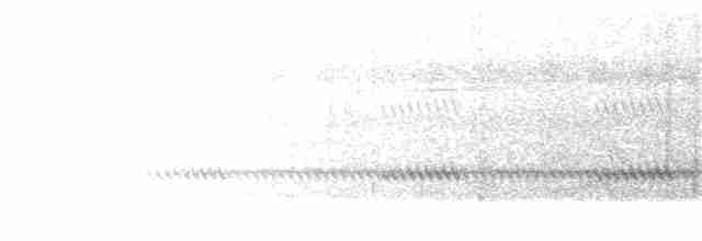 Weißband-Ameisenvogel - ML203955571
