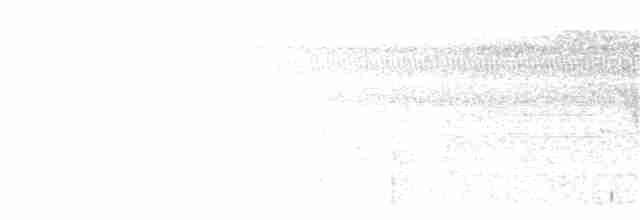 svartstrupemaurrikse (analis gr.) - ML203955591