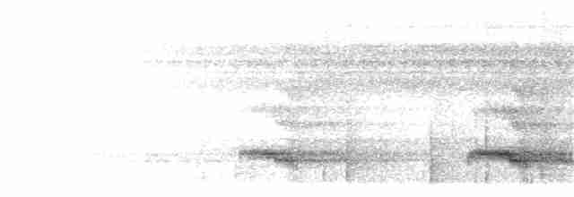 Channel-billed Toucan (Channel-billed) - ML203955681