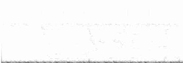 Зозуля білогорла - ML203956141