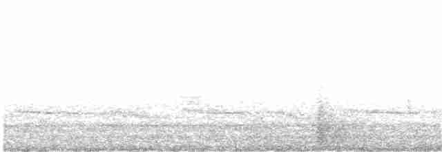Búho Pescador de Ceilán (grupo zeylonensis) - ML203956241