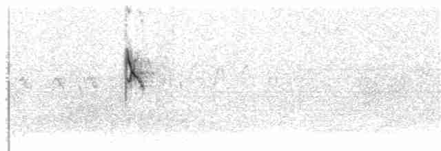 konipas východní (ssp. taivana) - ML203956571