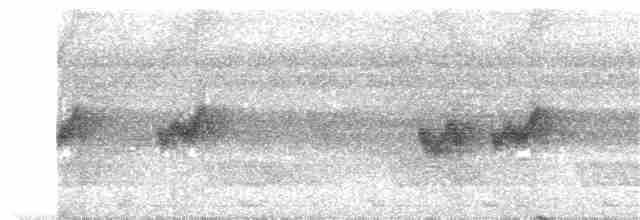 Sarı Karınlı Arapbülbülü - ML203957131