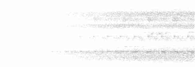 Cinereous Tinamou - ML203957241