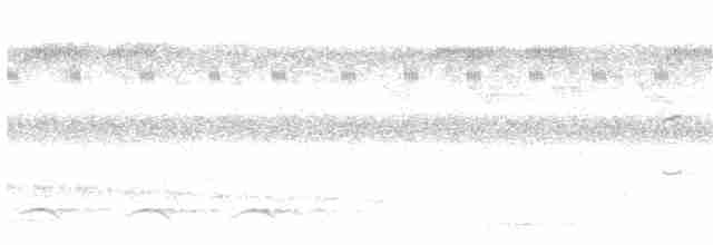 Полосатокрылый крапивник - ML203957431