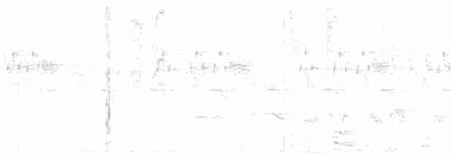 Рыжезвёздная мухоловка - ML203957931