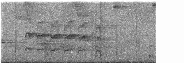 Тиранчик-довгохвіст жовточеревий - ML203958121