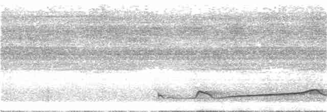Silky-tailed Nightjar - ML203959051