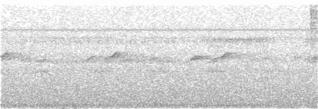 lelek netopýří (ssp. nattereri) - ML203959061