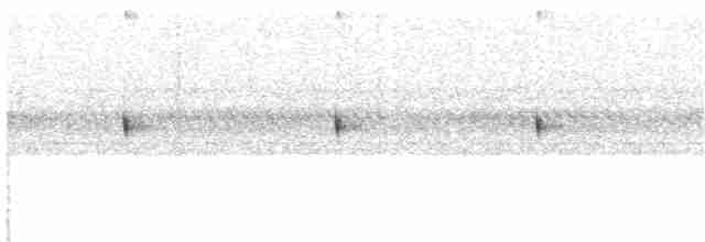 Scissor-tailed Nightjar - ML203959121