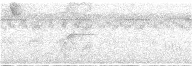 Синелобая якамара - ML203959381