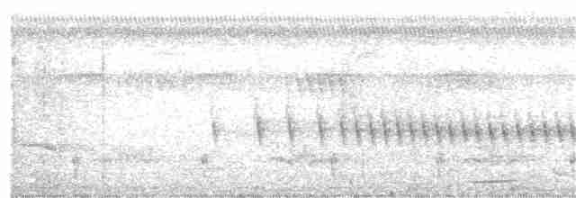 Черношапочный апалис (nigriceps) - ML203959941