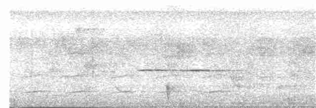 Слотняк рудоголовий (підвид castaneiceps) - ML203959971