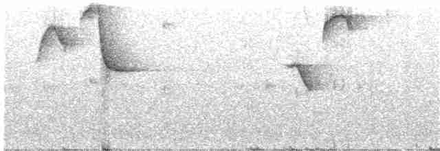 Gray-browed Brushfinch - ML203960031