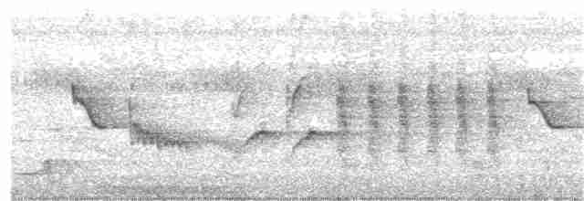 Мухарка лісова (підвид prosphora/kelsalli) - ML203961311