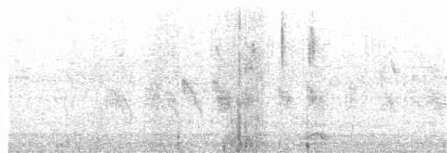 Grünstirn-Brillenvogel (minor/rothschildi) - ML203961681
