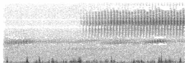 Cırcır Sesli Serçe - ML203962611