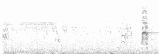 Trauerseeschwalbe (surinamensis) - ML203962681