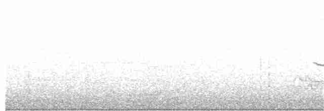 Porsuk Serçesi (pugetensis) - ML203962741