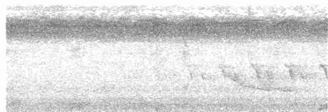 Чернобровый личинкоед-свистун (atrovirens) - ML203963111