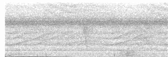 Нектарка смугастовола - ML203963351