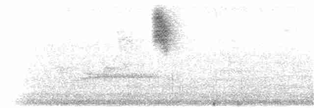 Trogon rosalba (aurantiiventris/underwoodi) - ML203964391