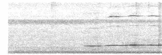 Gözlüklü Yerçavuşu (perspicillatus) - ML203964451