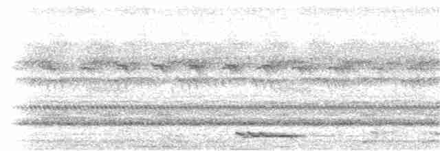 Африканская сплюшка (senegalensis) - ML203964641