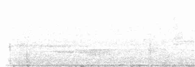 Gray-cheeked Warbler - ML203964741