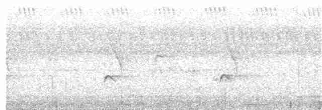 Barbican chauve (calvus/congicus) - ML203964881