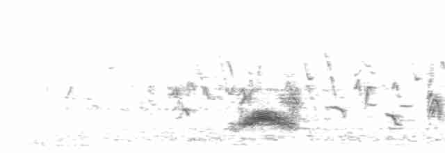 Серогрудый тиранн - ML203966031