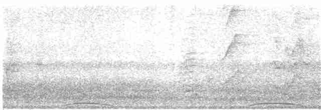 holub chocholatý - ML203967231