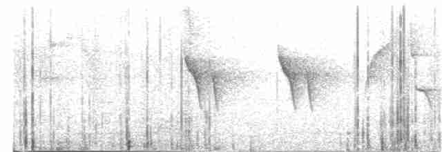 sýkora uhelníček (ssp. ledouci/atlas) - ML203968691