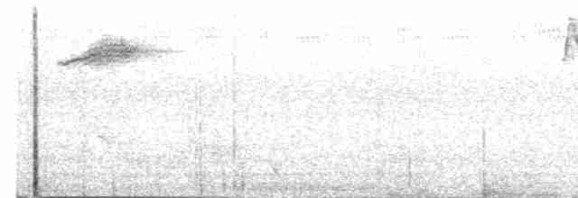  - Midget Flowerpecker