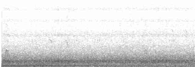 Australian Reed Warbler - ML203969161