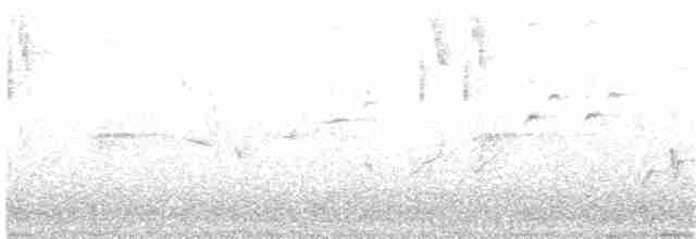 Speckled Warbler - ML203969191