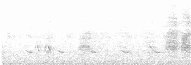 bruntoppbylbyl (pallidus gr.) - ML203969391