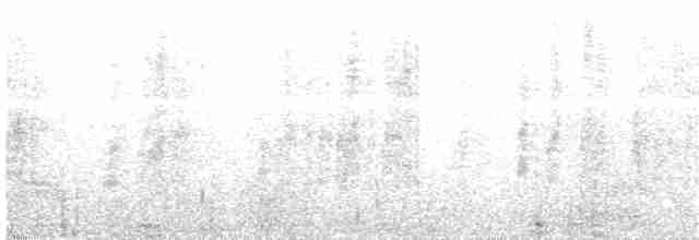 Silver-eared Mesia (Silver-eared) - ML203969451