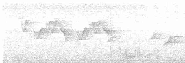 Gray-cheeked Warbler - ML203969551