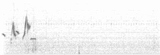 Патагонский конёк (grayi) - ML203969721