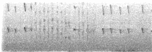 Karaca Sinklot (antarcticus) - ML203969771