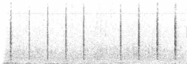 Nachtreiher (falklandicus) - ML203969851