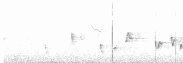 Сахалинский сверчок - ML203970711