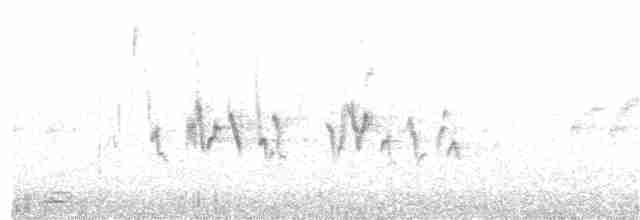 ורדית ארוכת-זנב - ML203970911