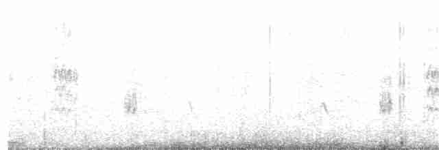 White-winged Tern - ML203970961