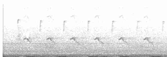 Common Tailorbird - ML203971221