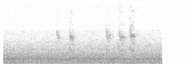 Long-tailed Shrike (schach) - ML203971301