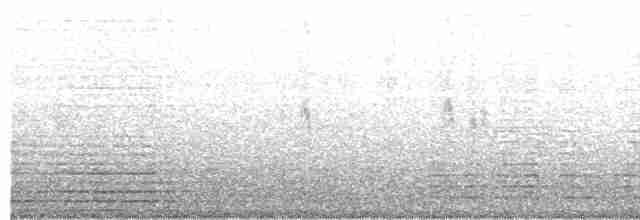 White Wagtail (Hodgson's) - ML203971361